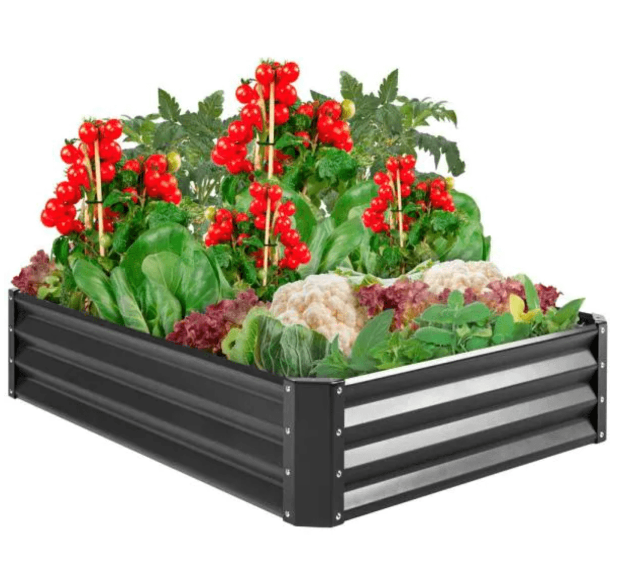 Metal Raised Garden Bed