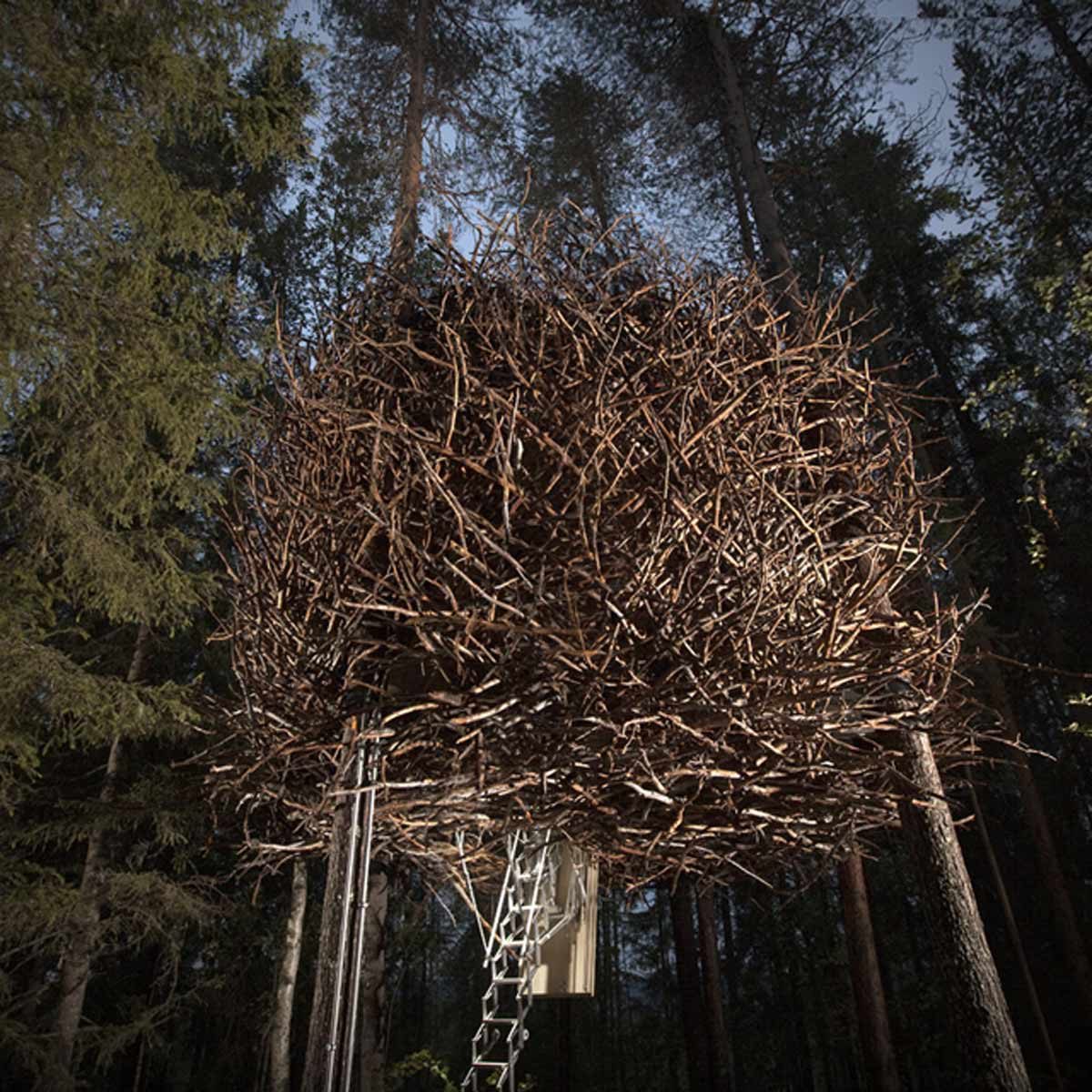 19 Treehouses that Look Like UFOS