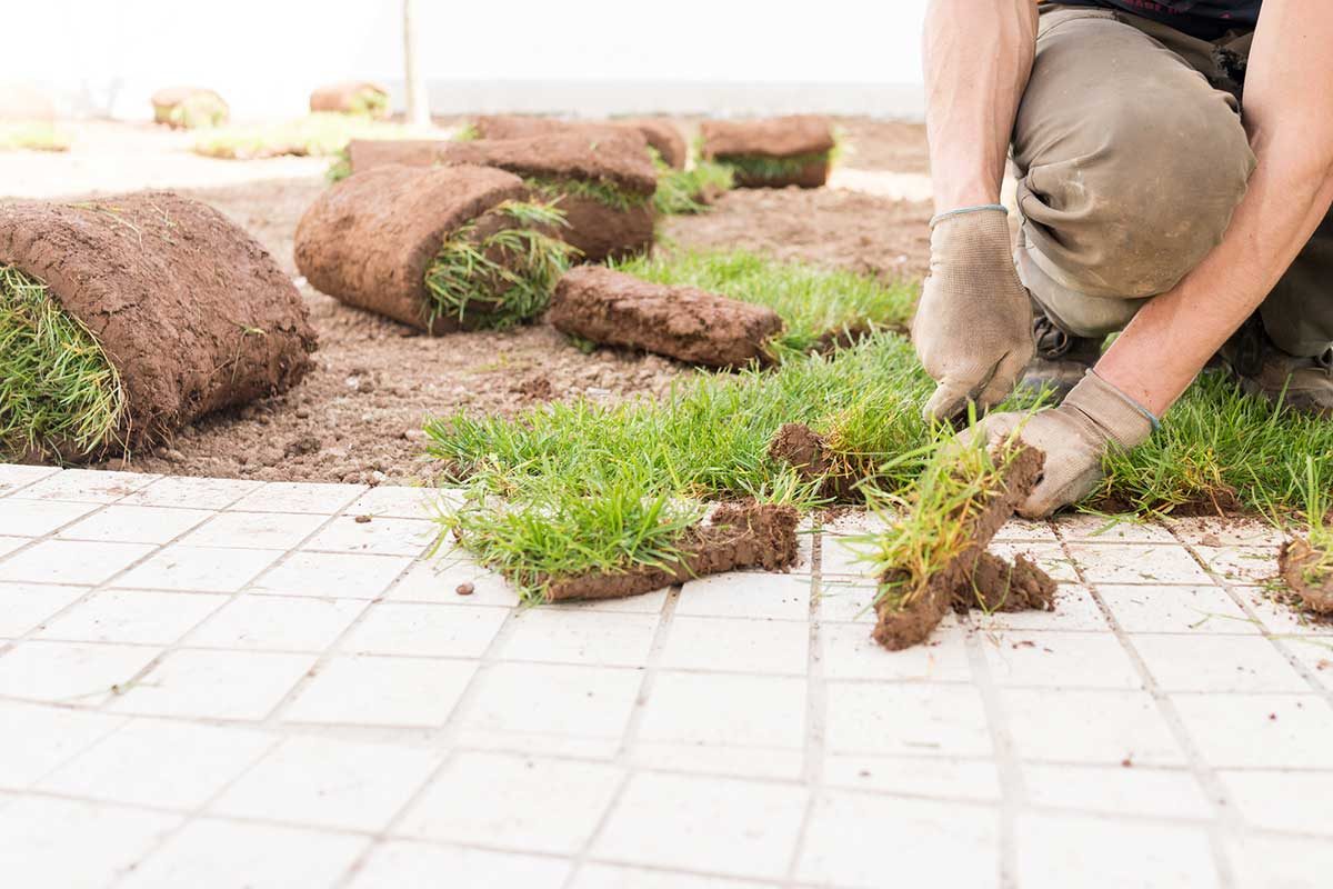 Installing Sod 