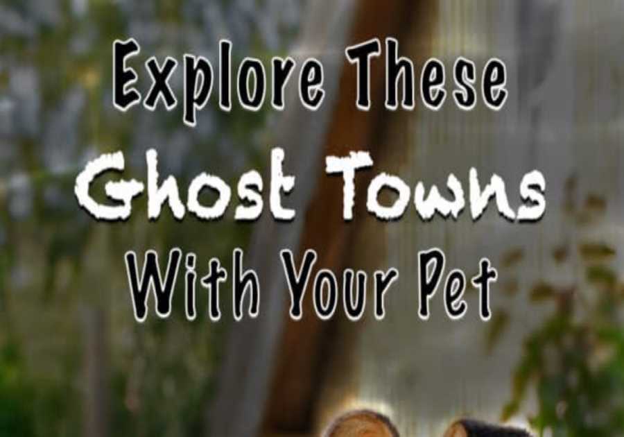 Take your dog to these pet-friendly ghost towns
