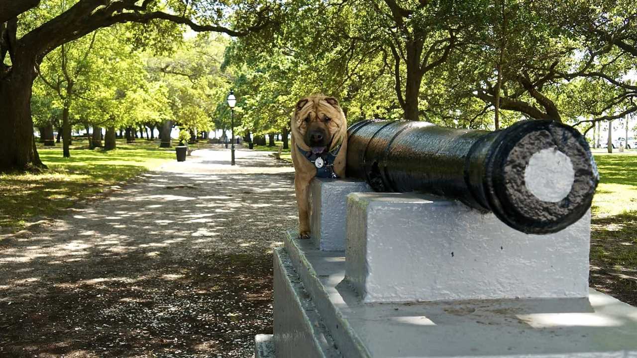 White Point Garden - Charleston, SC