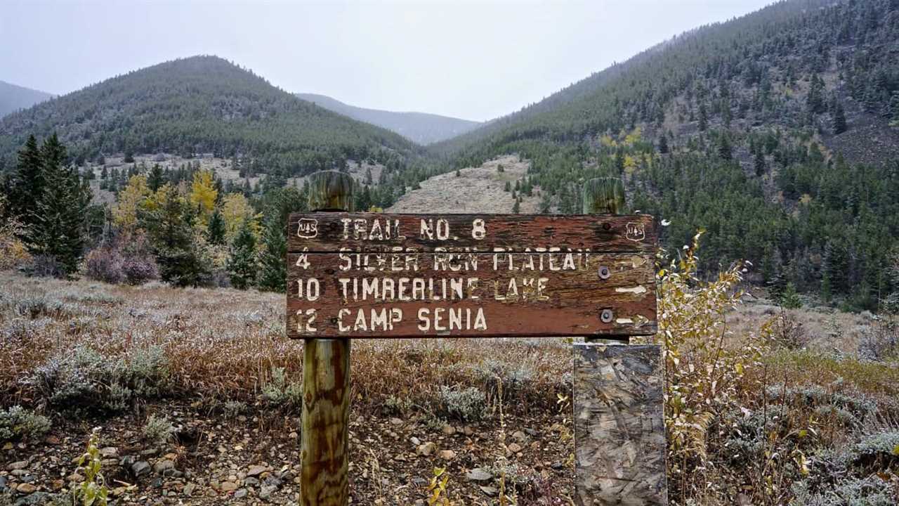 Montana's Top Pet Friendly Attraction: Beartooth Highway | GoPetFriendly.com