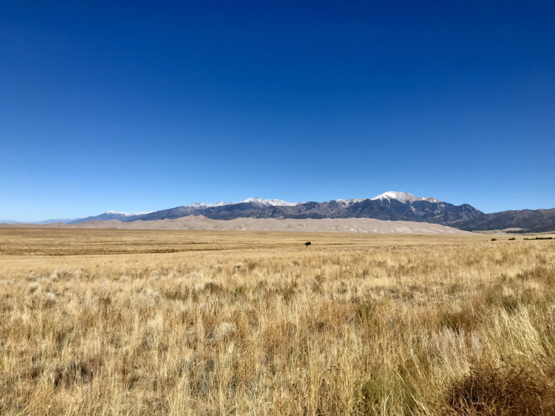 Grassland with sand dunes and mountains in the distance