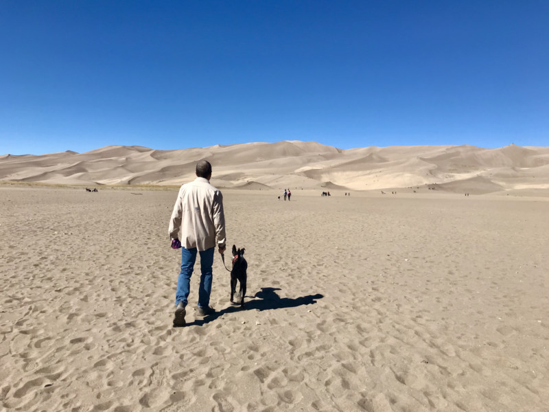 Man and dog walking toward the dunefield at Great Sand Dunes National Park in Colorado