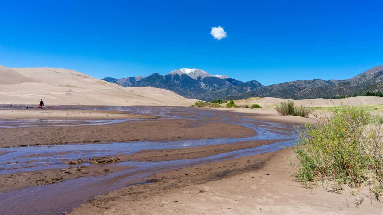 Medano Creek creates a pet friendly beach environment in Great Sand Dunes National Park