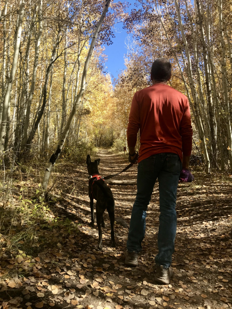 Man and dog on a pet friendly trail at Great Sand Dunes National Park in Colorado