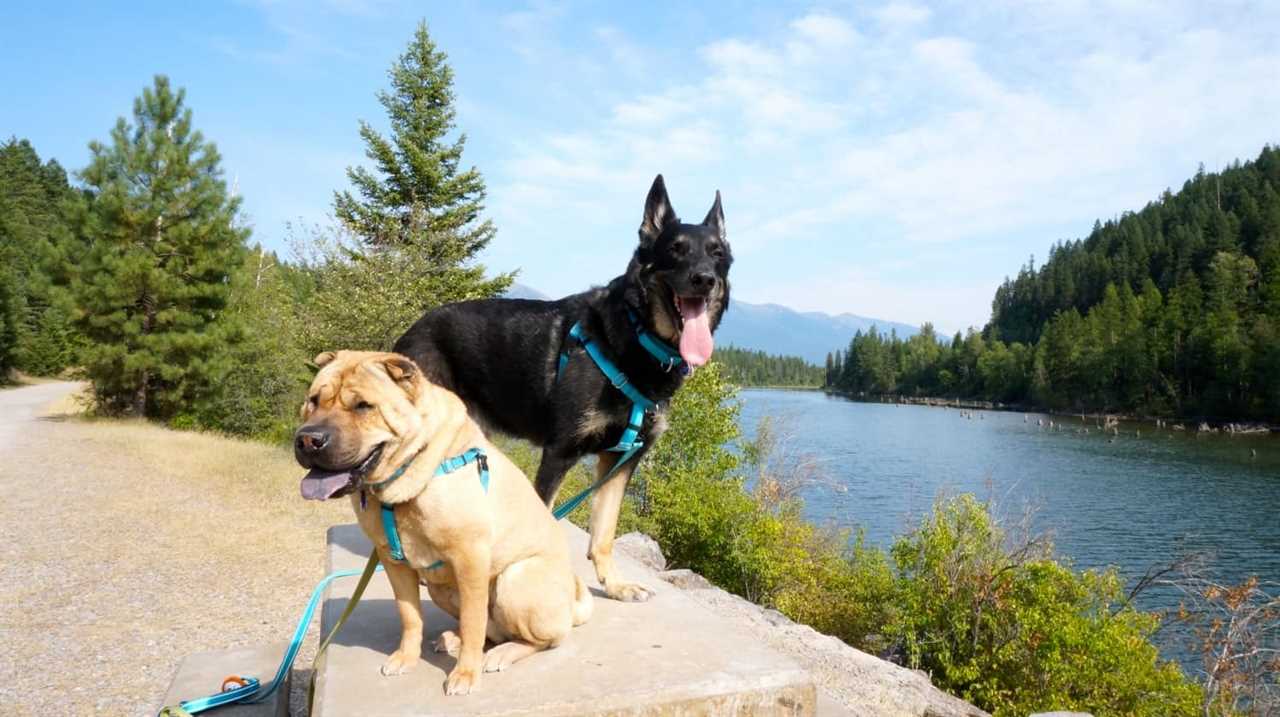 Ty and Buster on Swan River Trail - Bigfork, MT