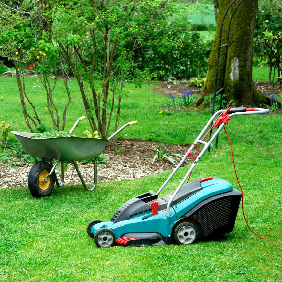 Electric Mower