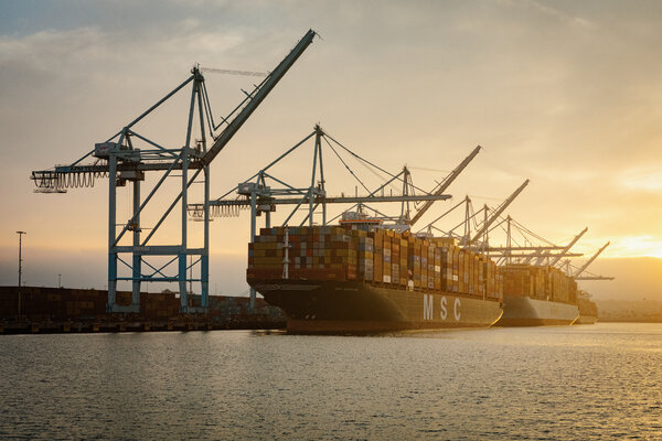 On any given day this summer, dozens of container ships waited outside the ports of Los Angeles and Long Beach to unload their cargo.