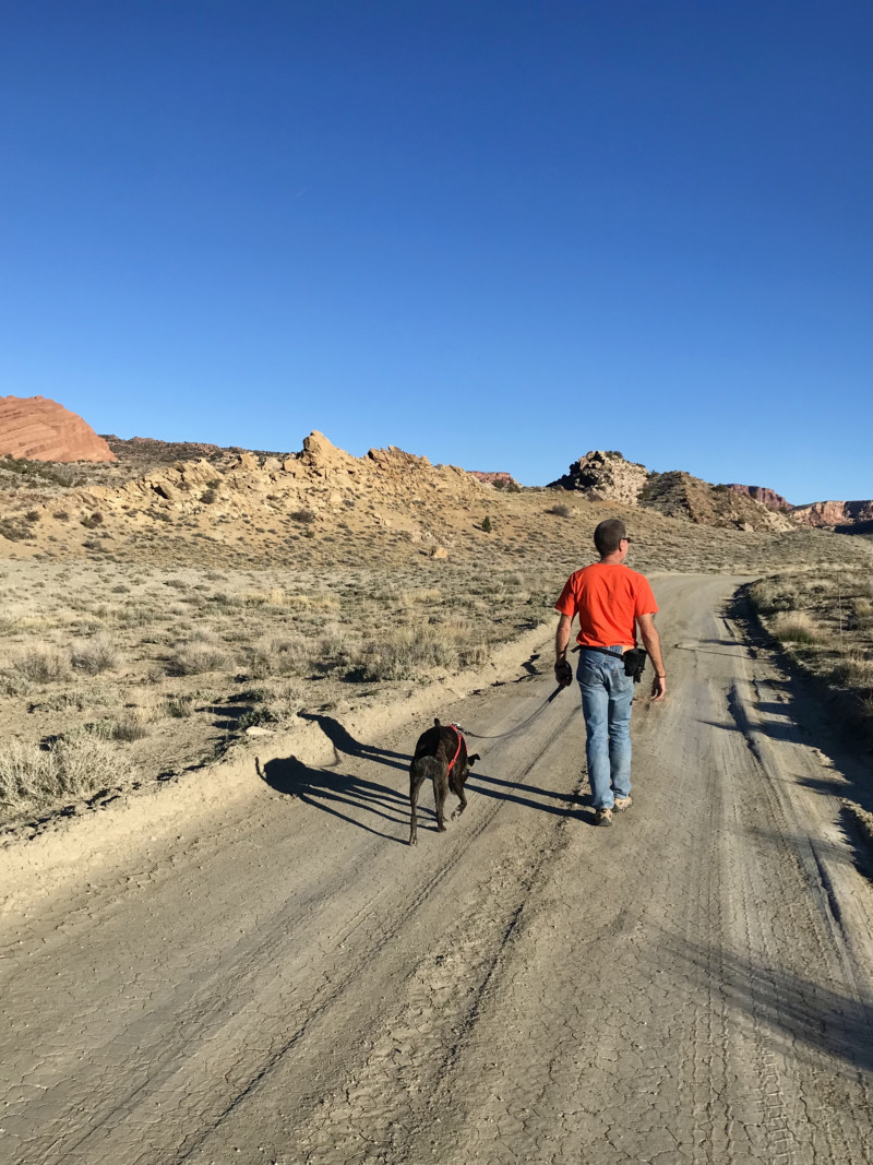 Man in orange t-shirt walking a dog on Cache Valley Road in Arches National Park - Moab, UT 