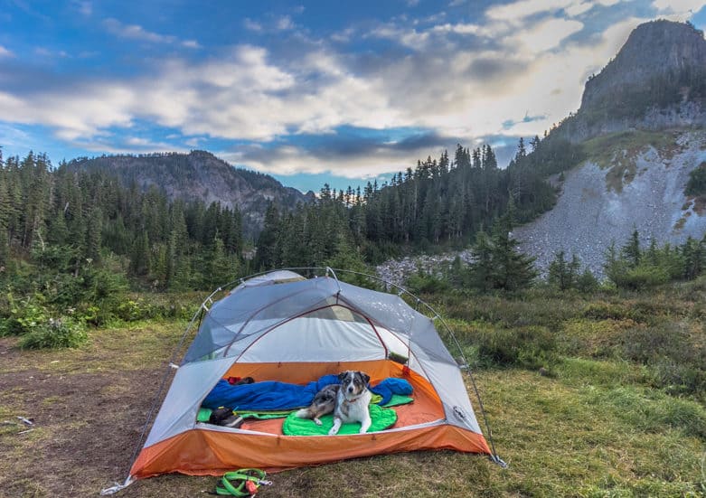 6 Affordable Vacation Ideas with Pets