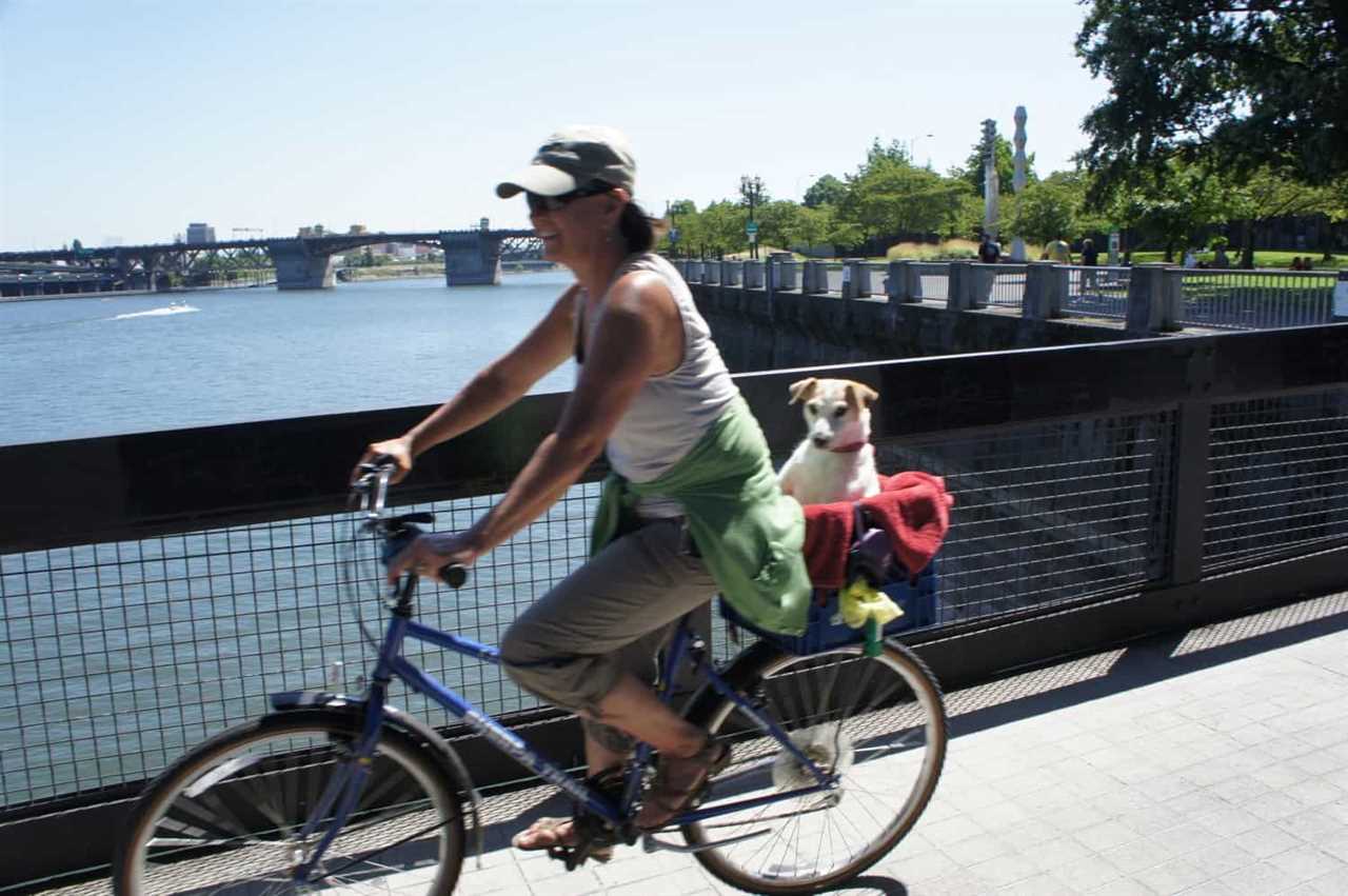 Woman riding a bike with a dog in the basket on a bridge in pet friendly Portland, Oregon