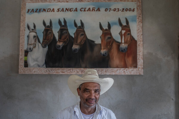 Odilon Caetano Felipe, a rancher, acknowledged that he had deforested land within the Jaci-Paraná protected area.