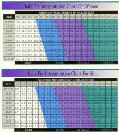 How To Track Weight Loss Progress fat measurement