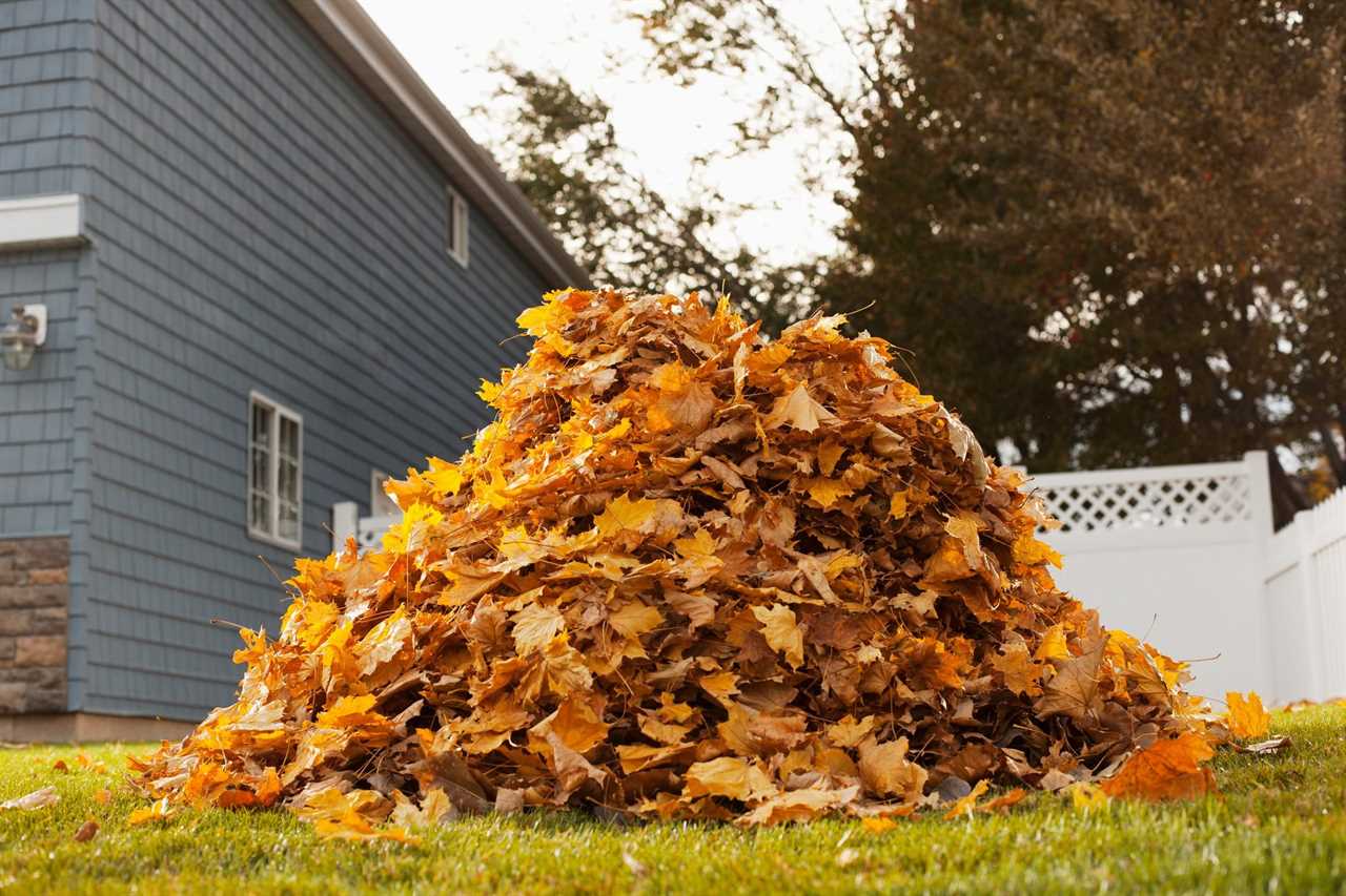 A huge pile of raked fallen autumn leaves in a yard.