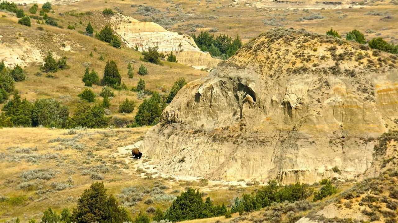 Theodore Roosevelt National Park - Medora, ND