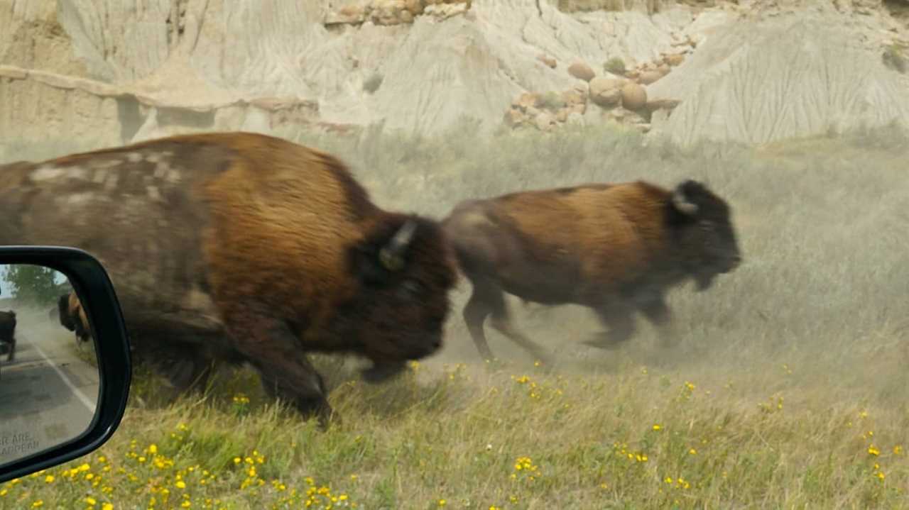 Theodore Roosevelt National Park - Medora, ND