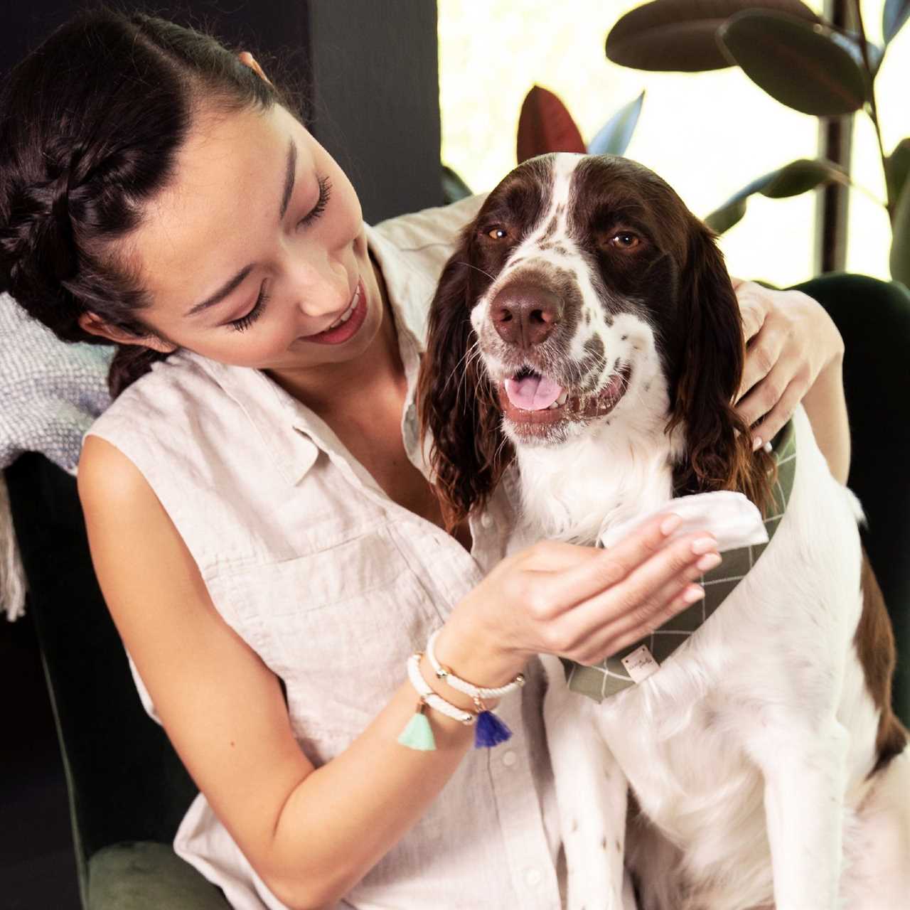 woman wiping her dog with Pet Wipes