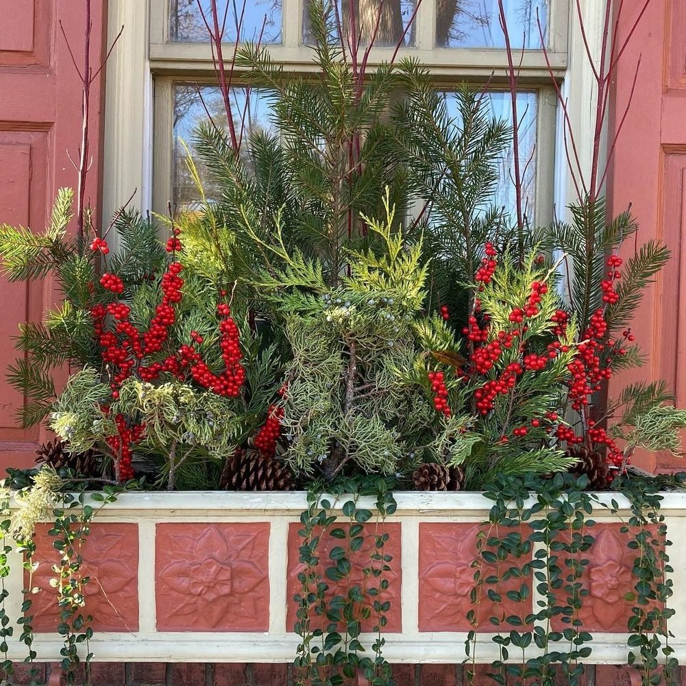 Seasonal Window Boxes With Red Twig Dogwood, Douglas Fir, Winterberry, Arborvitae, Blueberry Cedar, And Pine Cones