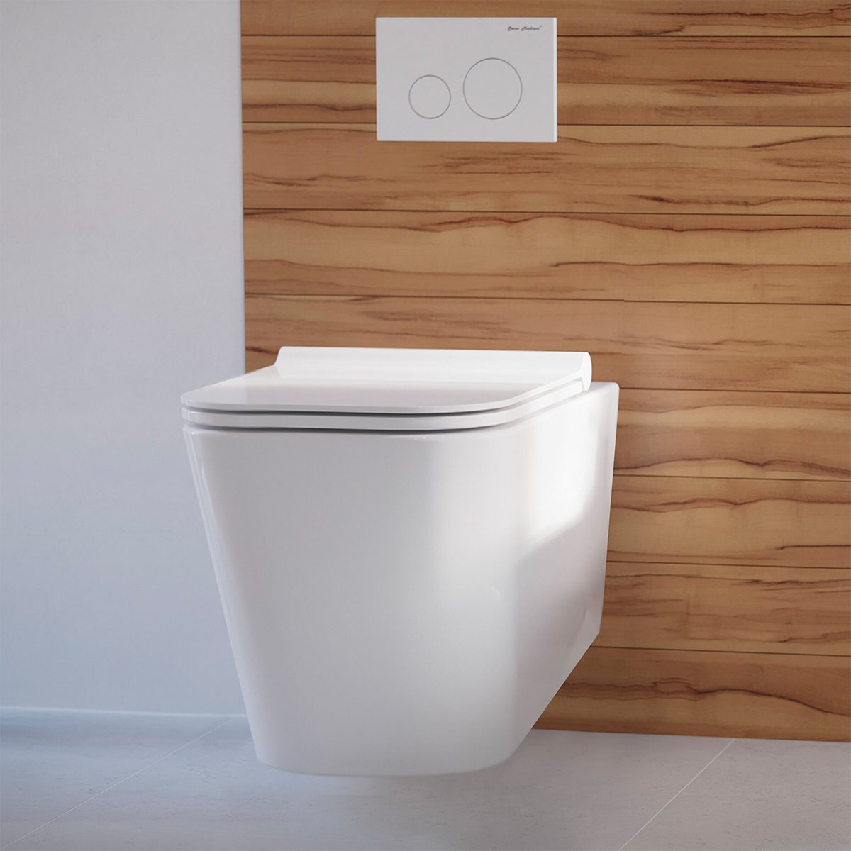 Wall Mount Toilet