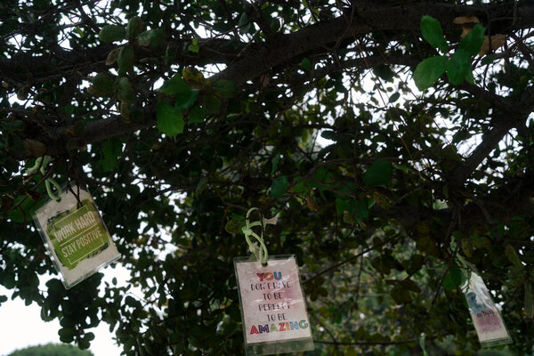 Notes of encouragement dangled from trees outside a library at the Claremont Colleges in California.