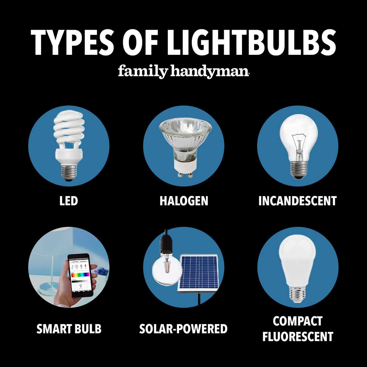 Types Of Lightbulbs graphic