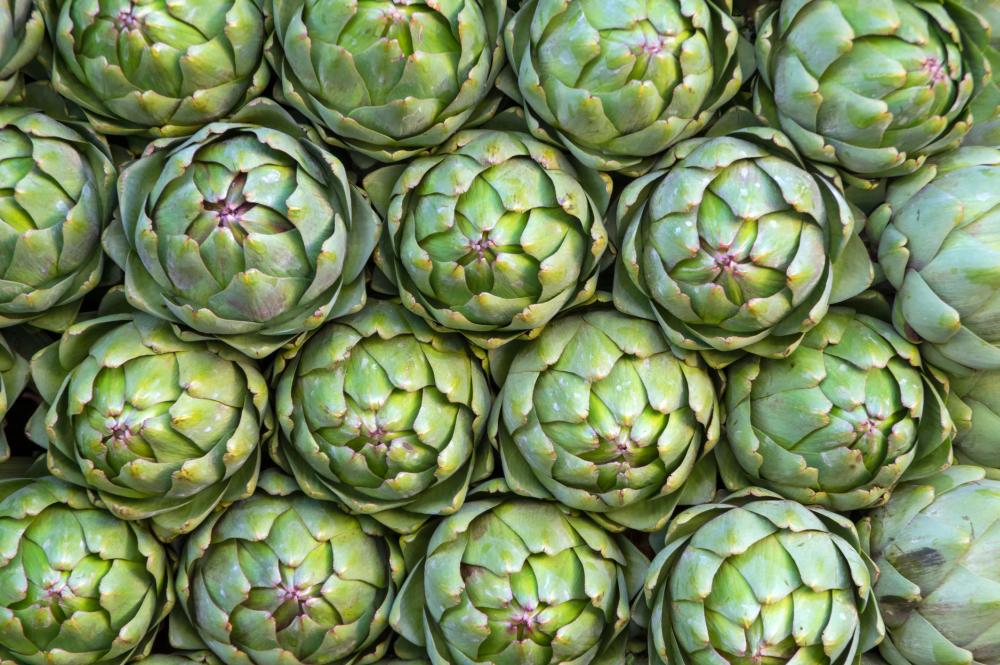 Artichoke varieties 