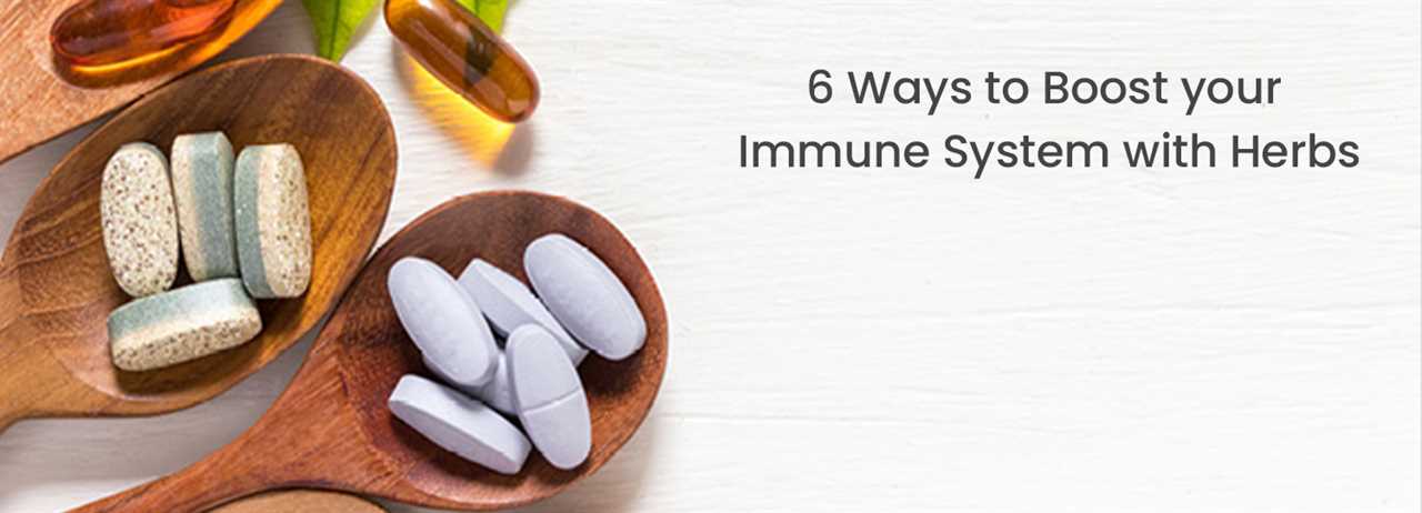 6 Herbs to Boost Your Immune System