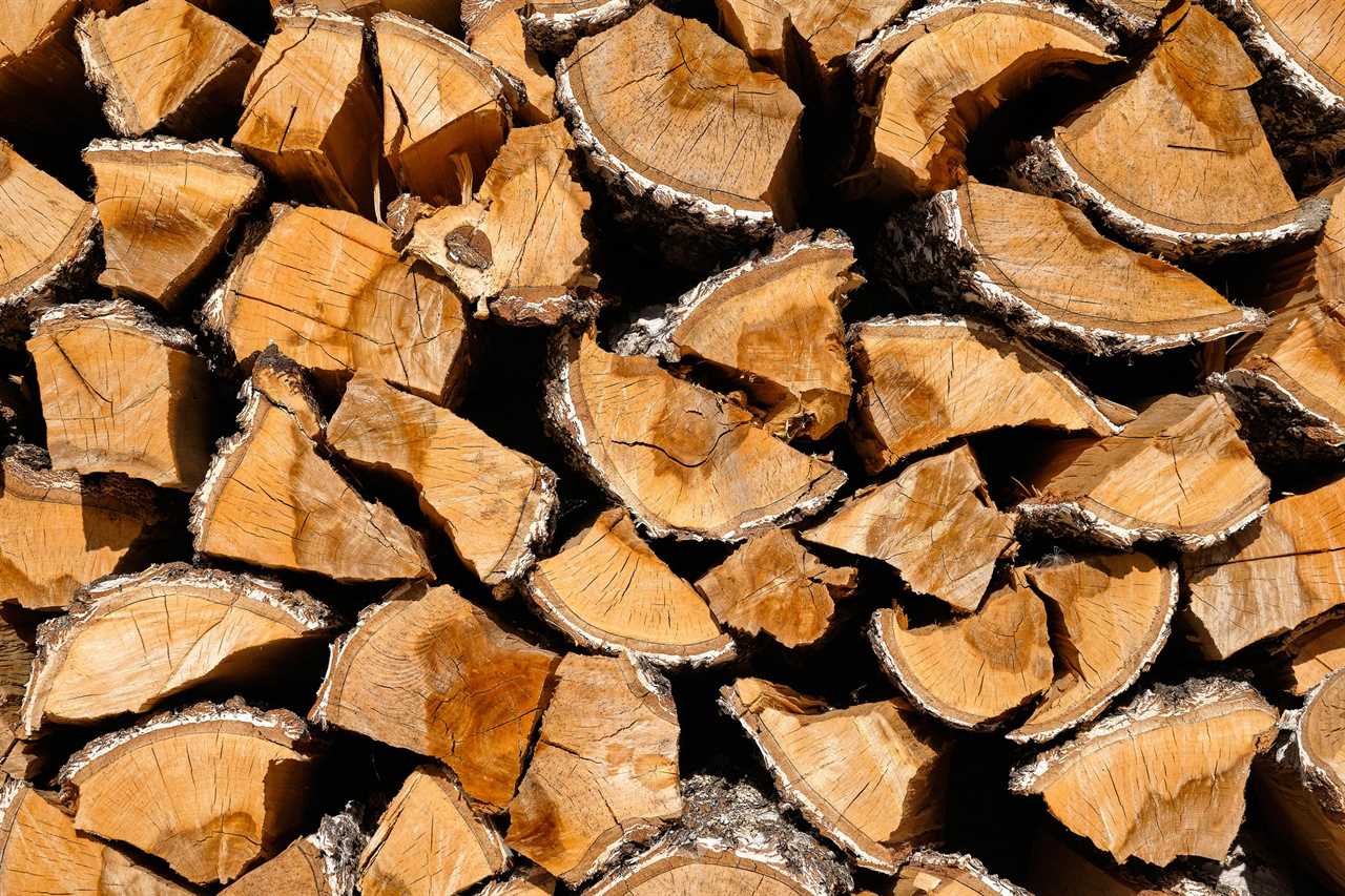 Lots of wood. Preparation of firewood for the winter. Textured Background.