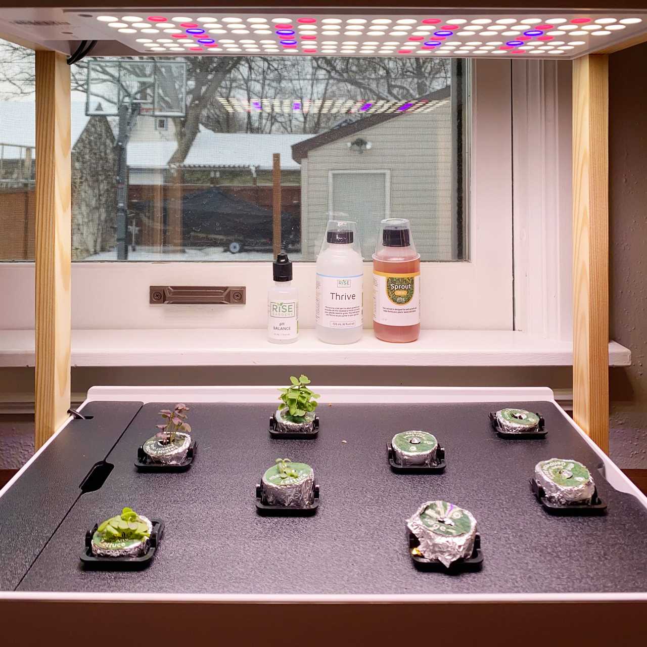 Family Handyman Personal Indoor Garden Grow Lights