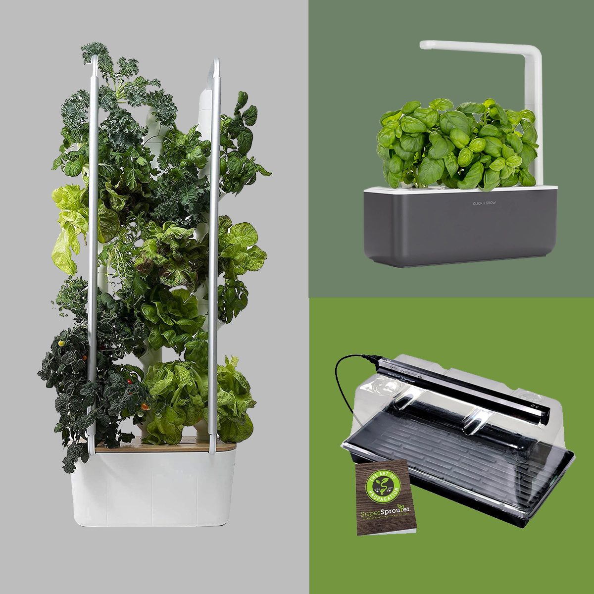 Family Handyman: Rise Personal Indoor Garden