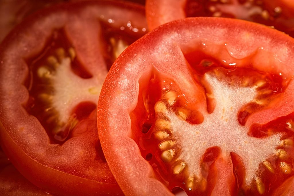 Can Bearded Dragons Eat Tomato?