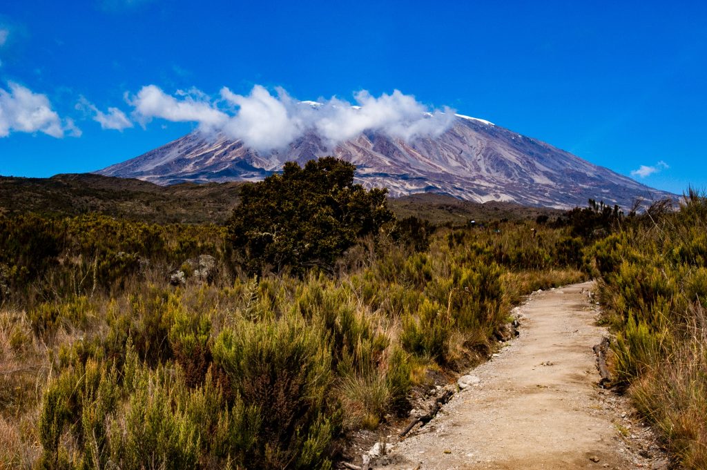 What are the easiest routes to climb Kilimanjaro's highest peak?