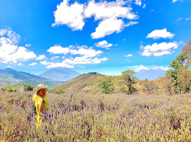 woman in a lavender field in antigua guatemala