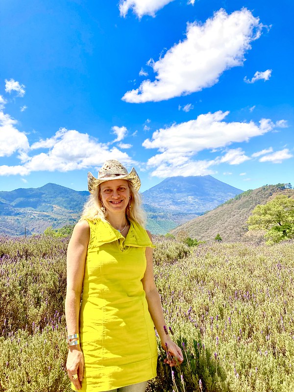 Antigua, Guatemala: Visit a Lavender Farm