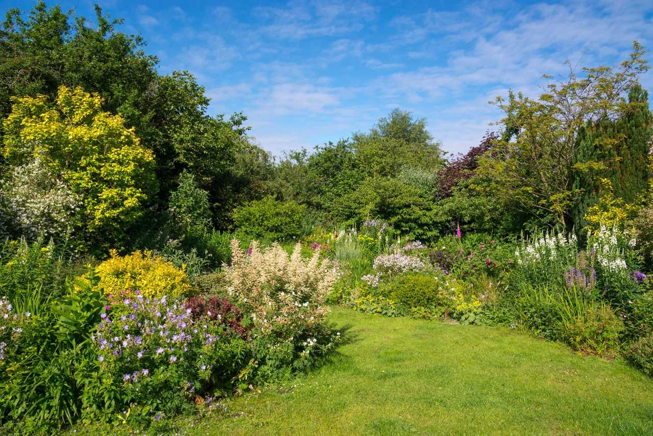 English cottage garden in June