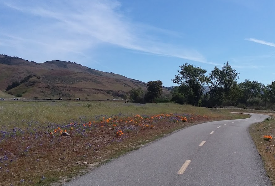 Local Urban and Rural Ride