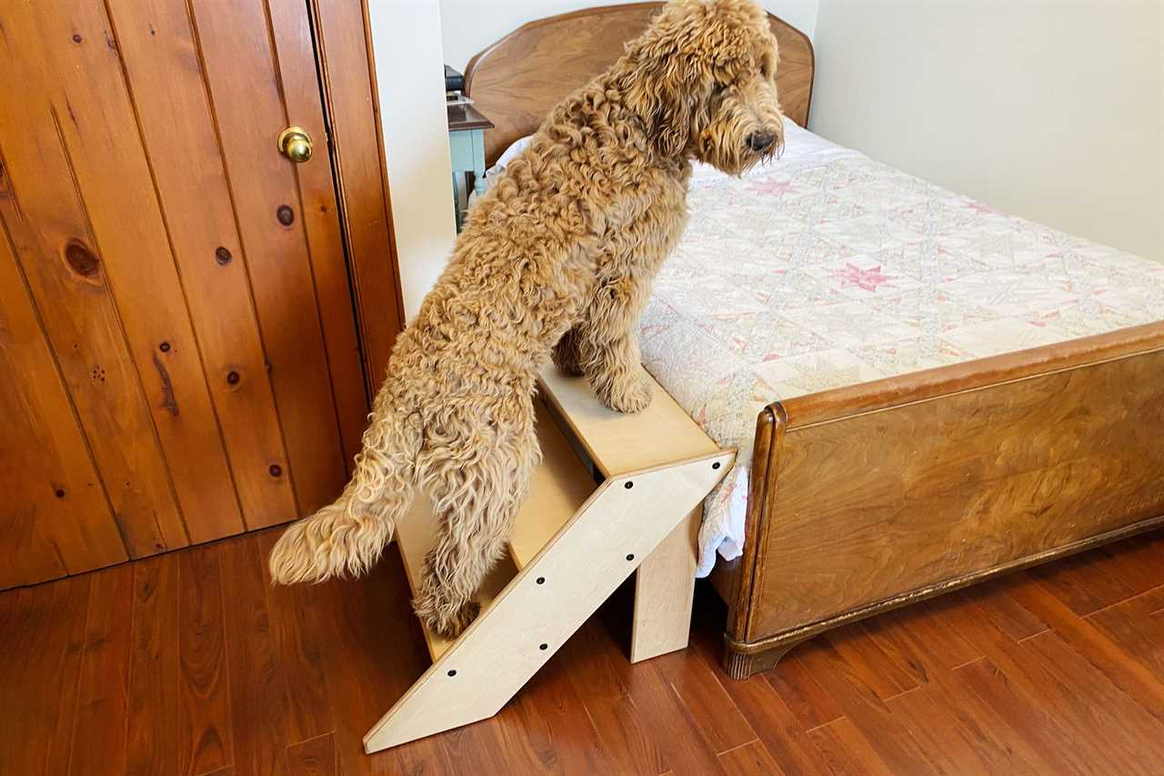 Dog Stairs