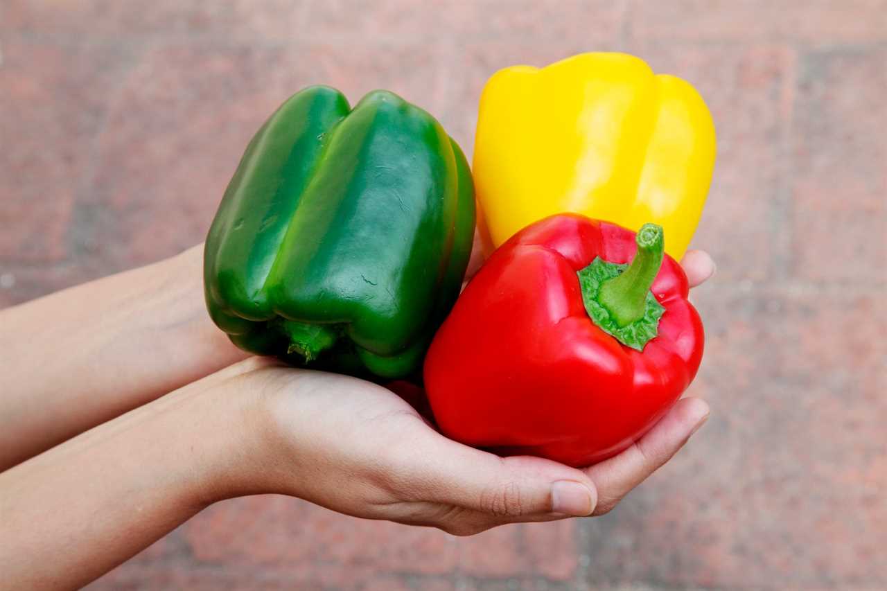 Fresh pepper vegetables