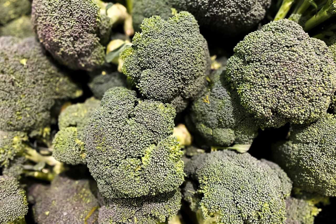 heap of fresh organic green broccoli stalks at market