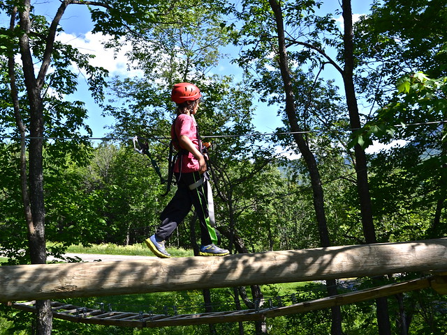 tree walking arbortrek