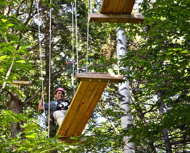 tree bridge at arbortrek canopy adventures 