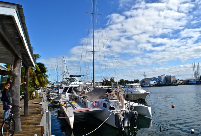 bay of pigs at Stock Island marina village, Key West, Florida