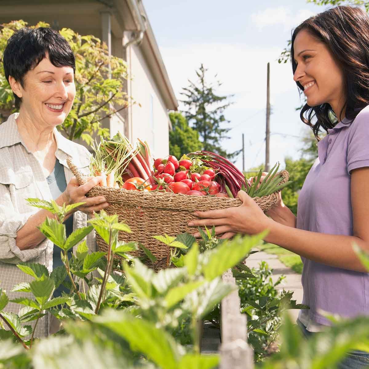 Greenhouses & Acreage