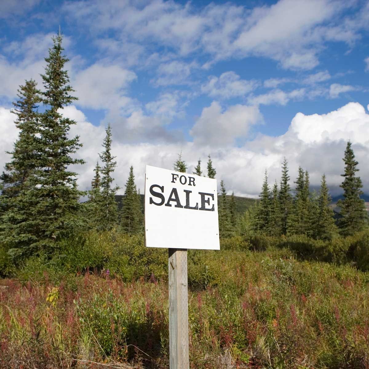 Greenhouses & Acreage