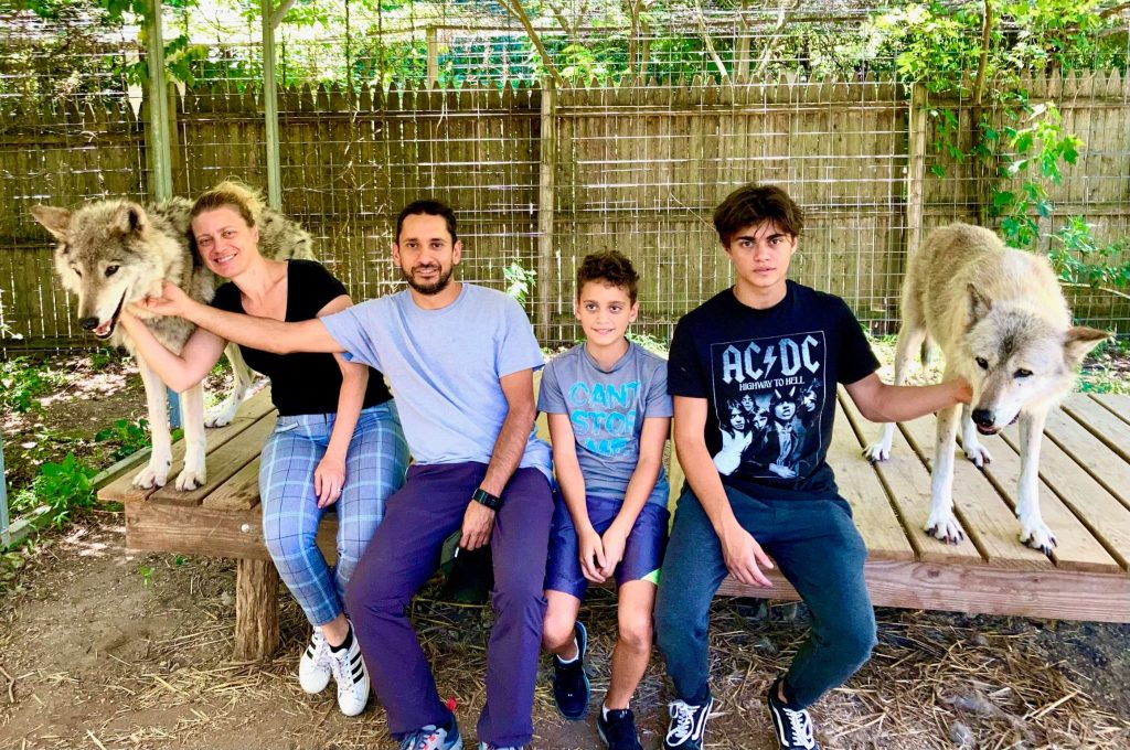 a family sitting on a wood stan with two wolves