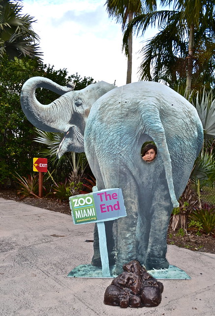 Miami Metro Zoo Review: Things to See, Exhibits and More