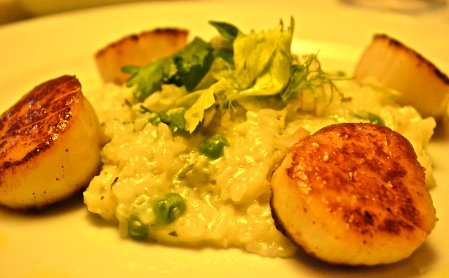 sea scallops - Ocean Prime Philadelphia