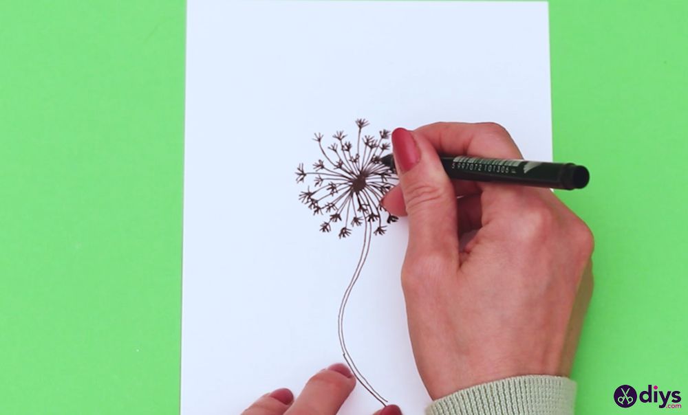 How to draw a dandelion