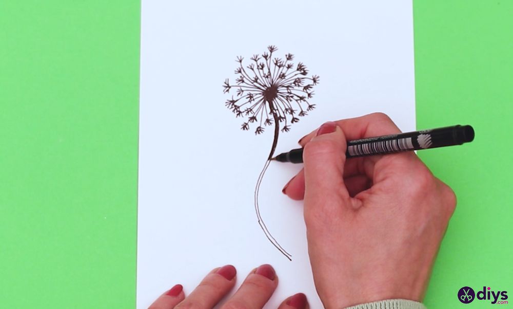 How to draw a dandelion